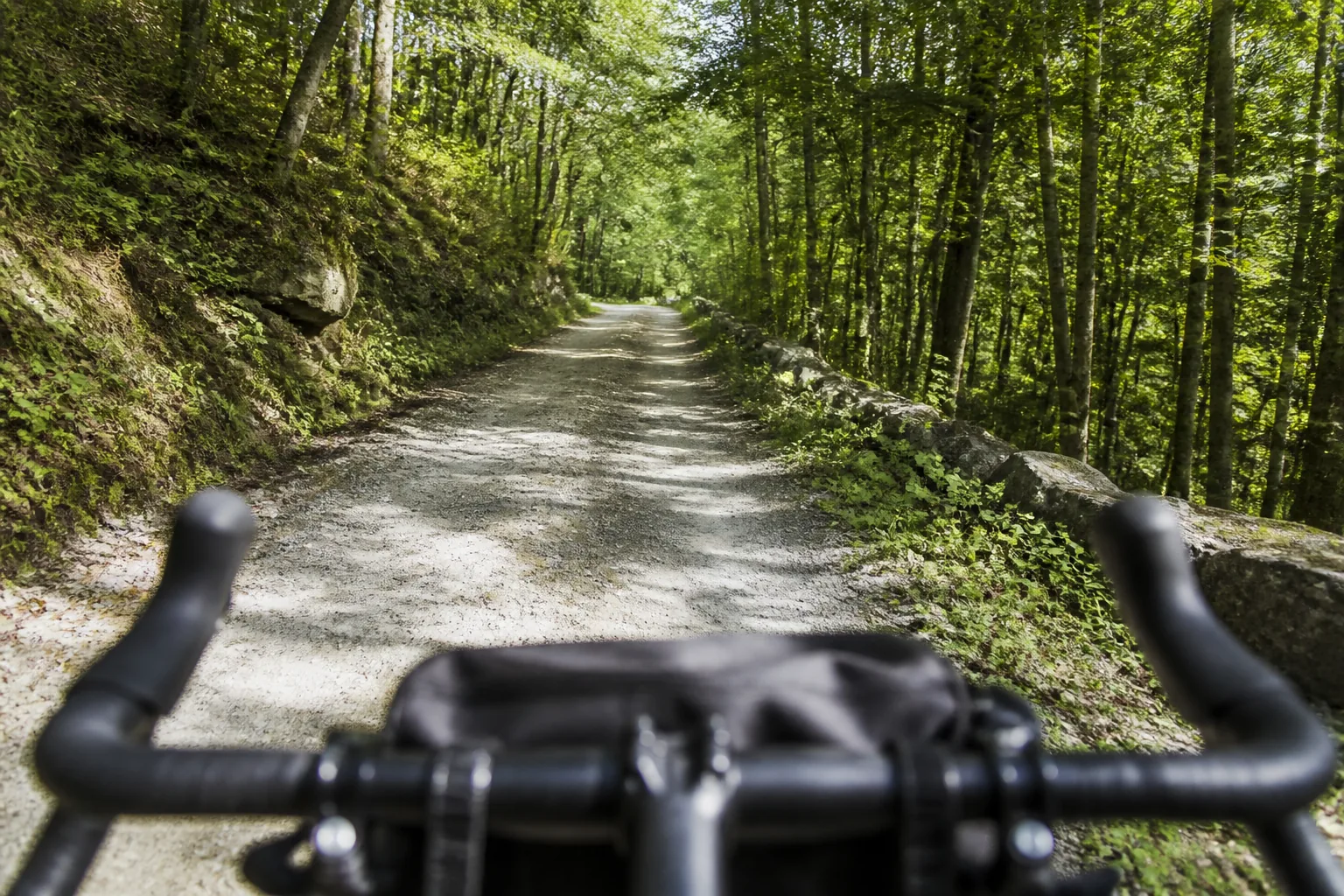 Narrow forest road with mixed gravel and packed dirt, soft afternoon shade from tall trees, touring bicycle handlebars in the foreground, quiet rural atmosphere, 1200x800